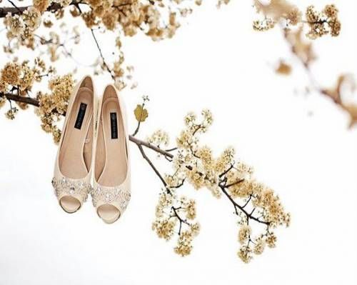 a1sx2_Thumbnail1_shoes_death_3.jpg