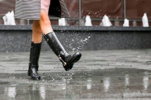 a1sx2_Thumbnail1_accessoriinvernaliscarpebase4.jpg a1sx2_Thumbnail1_accessoriinvernaliscarpebase4.jpg
