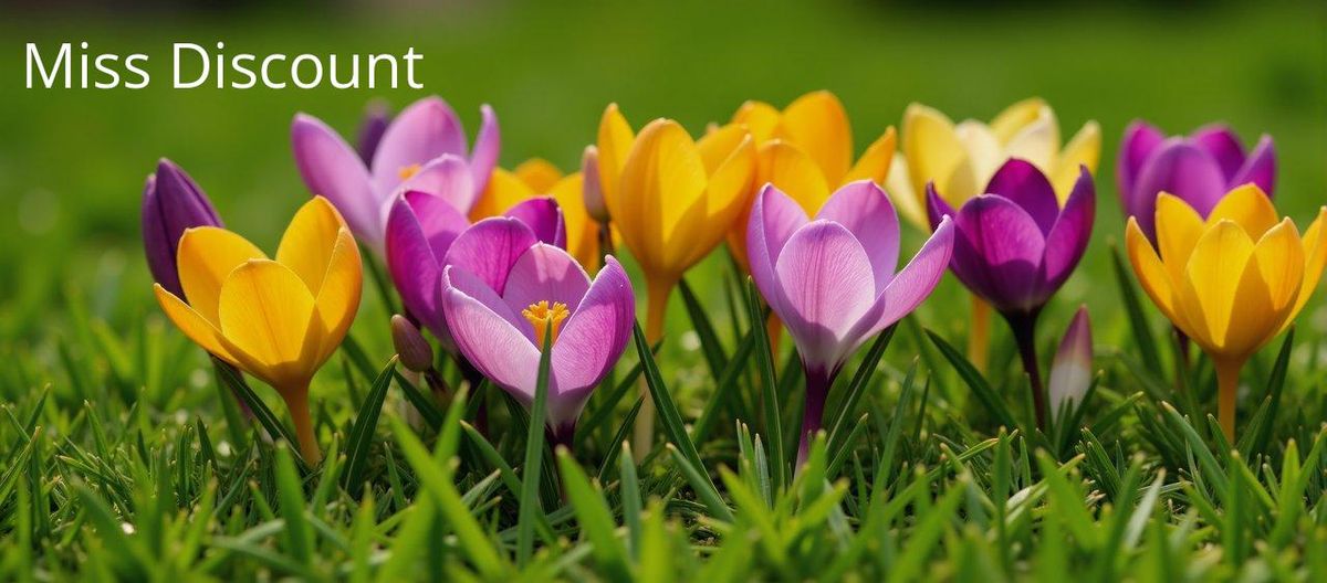 Couleurs printanières éclatantes : lilas et jaune illuminent la saison et vos tenues.