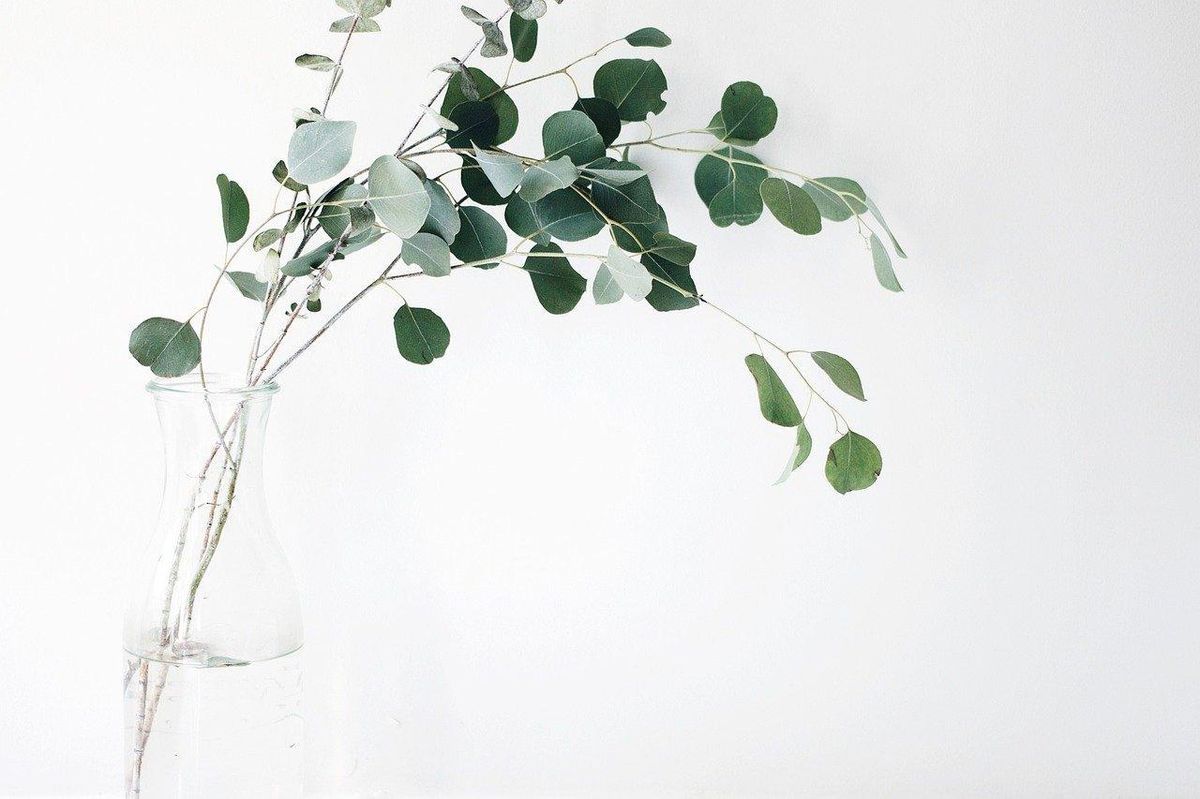Minimalisme naturel : inspiration pour des sacs aux lignes épurées cette saison.