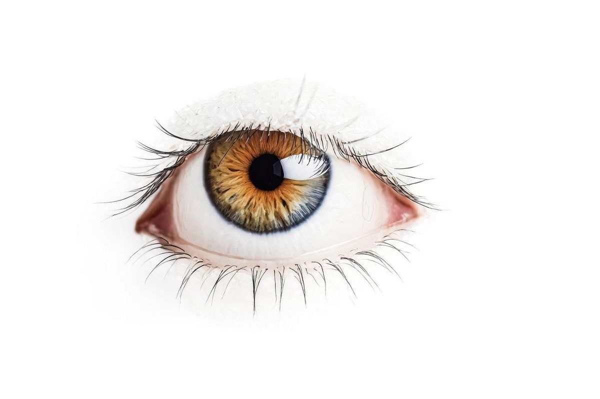 Osez le smokey eye doré, parfait pour sublimer les yeux noisette avec intensité.