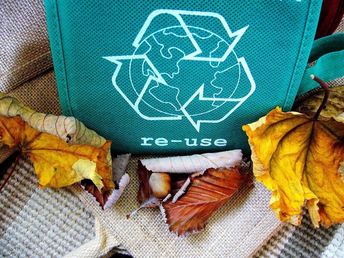 Recyclage et style : vers une chaussure éco-conçue! 🌿👟