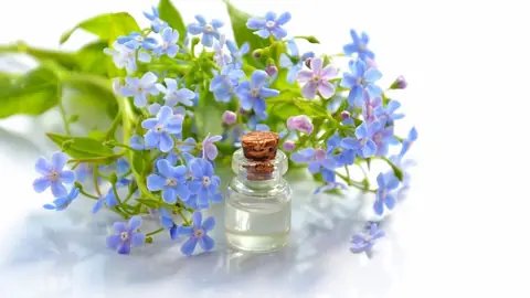 Comment bien choisir vos huiles essentielles ?